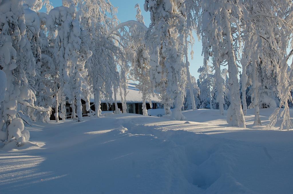 Rukanelioe Cottage Exterior foto